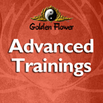 Advanced Trainings