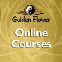 Online Courses